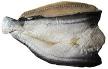 Cung cấp các loại hải sản, cá biển, tôm, mực giá sỉ - 13