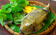 Cung cấp các loại hải sản, cá biển, tôm, mực giá sỉ - 11