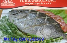 Cung cấp các loại hải sản, cá biển, tôm, mực giá sỉ - 12