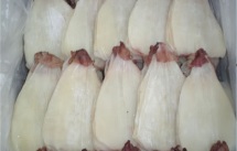 Cung cấp các loại hải sản, cá biển, tôm, mực giá sỉ - 25