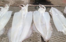 Cung cấp các loại hải sản, cá biển, tôm, mực giá sỉ - 23