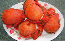 Cung cấp các loại hải sản, cá biển, tôm, mực giá sỉ - 29