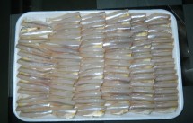 Cung cấp các loại hải sản, cá biển, tôm, mực giá sỉ - 2