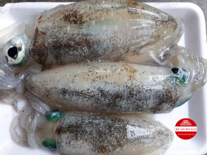 mực lá câu