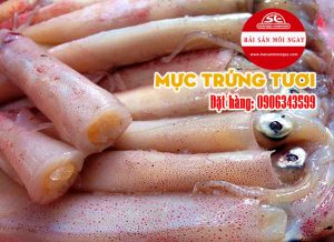 mực trứng