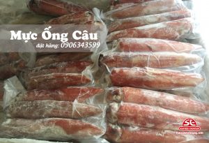 Mực ống câu