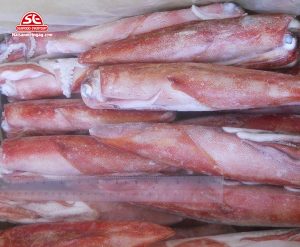Mực ống câu đông lạnh
