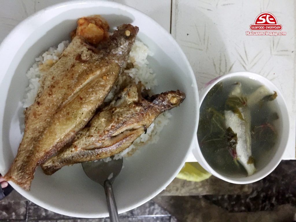 cá đù tẩm ăn cơm