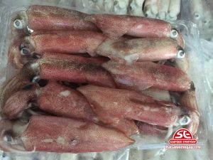 mực ống cơm