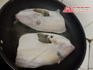 cá bò da