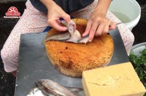 chả cá trôi